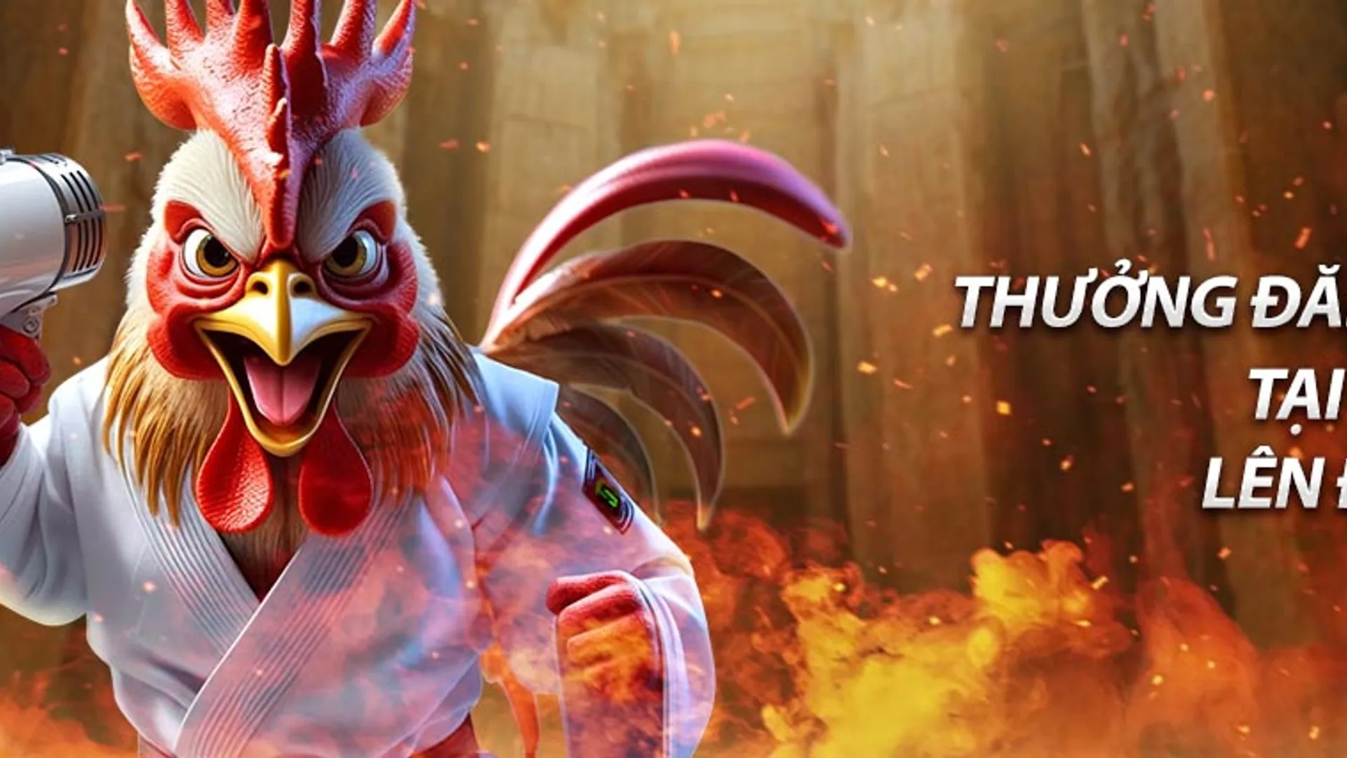 Các chương trình ưu đãi độc quyền từ TA88